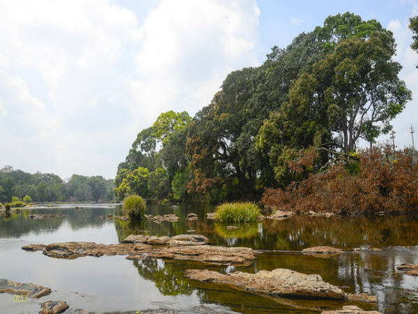 ಕೊಡಗು: