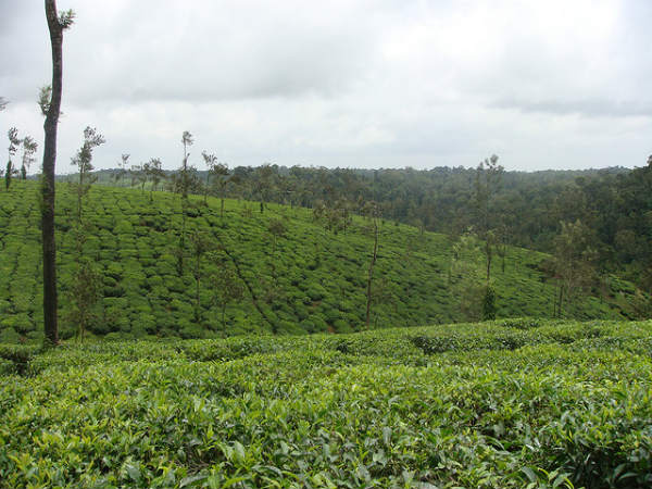ಕೊಡಗು: