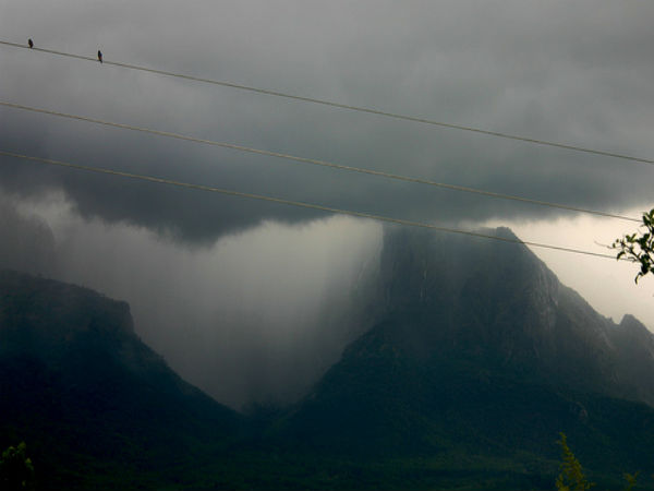 ಮುದುಮಲೈ: