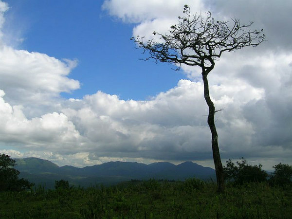 ಮುದುಮಲೈ:
