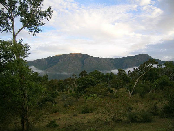 ಮುದುಮಲೈ: