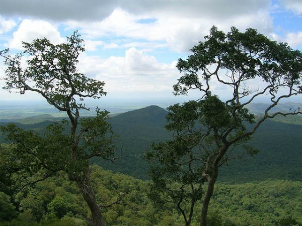 ಮುದುಮಲೈ: