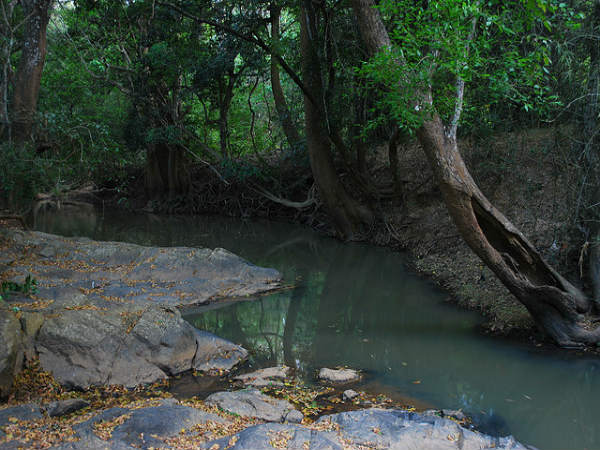 ಮುದುಮಲೈ: