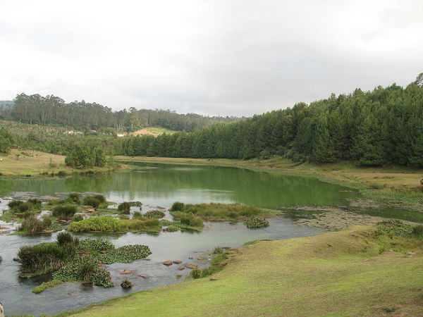 ಮುದುಮಲೈ:
