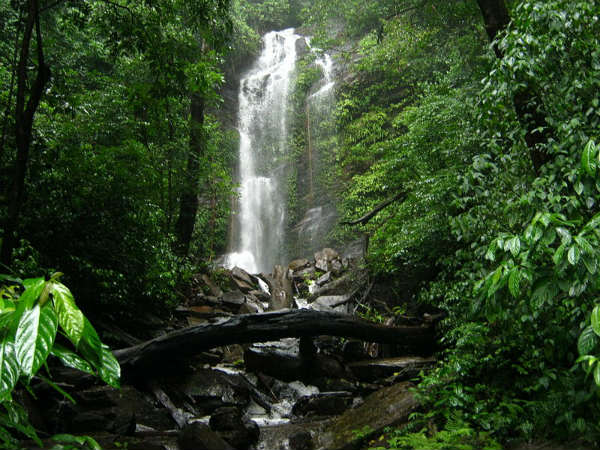 ಹಿಡ್ಲುಮನೆ: