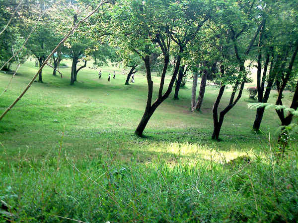 ಕೊಡೈಕೆನಾಲ್: