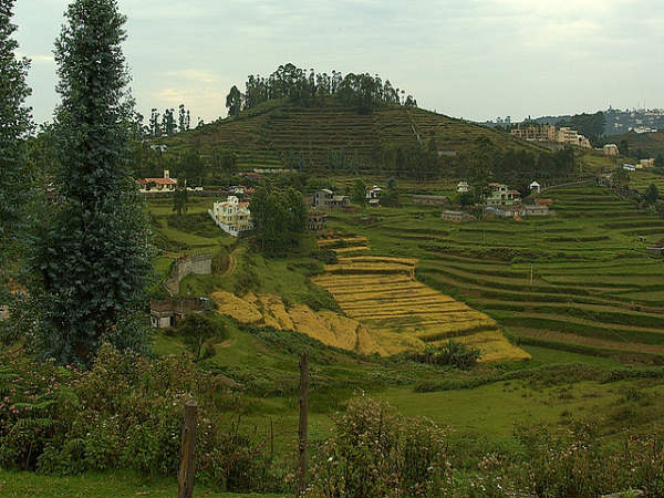 ಕೊಡೈಕೆನಾಲ್: