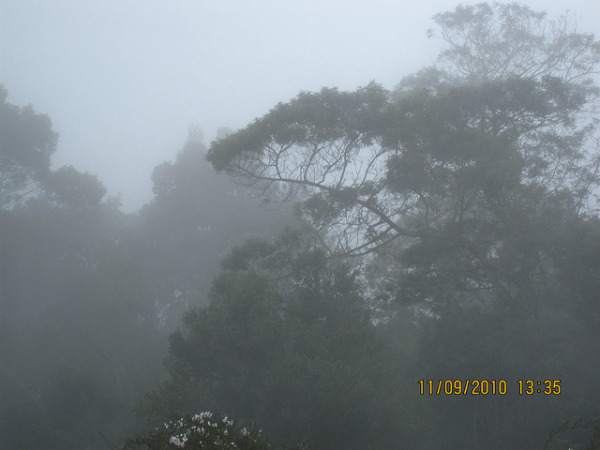 ಕೊಡೈಕೆನಾಲ್: