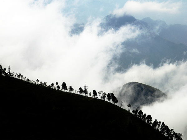 ಕೊಡೈಕೆನಾಲ್: