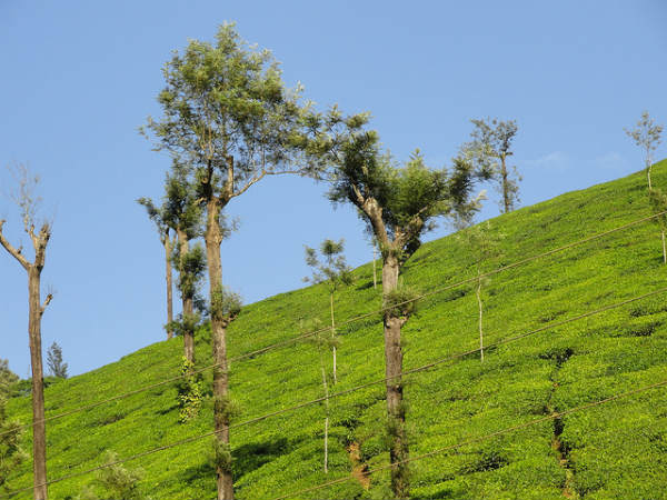 ಪಂಚಗಣಿ - ಮಹಾಬಳೇಶ್ವರ: