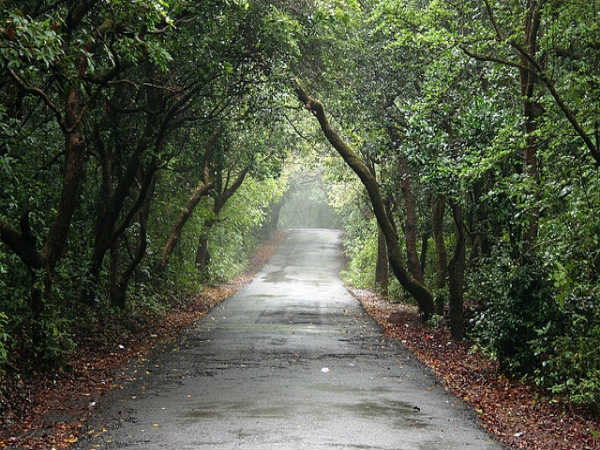 ಪಂಚಗಣಿ - ಮಹಾಬಳೇಶ್ವರ: