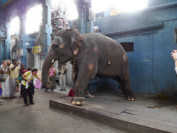 ಪಾಂಡಿಚೆರಿ: