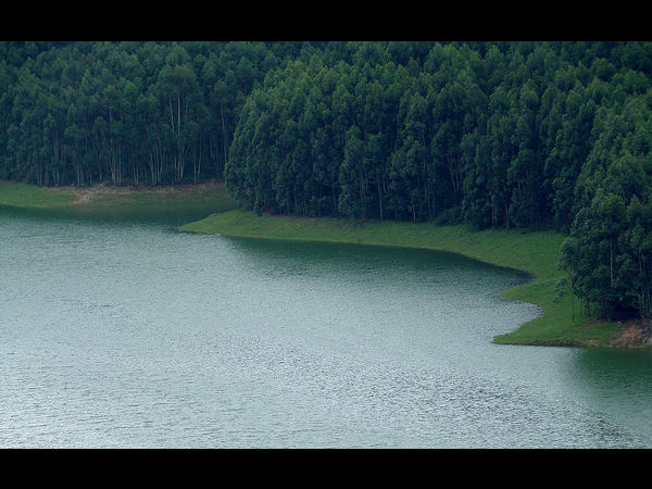 ಇಡುಕ್ಕಿ ಜಿಲ್ಲೆ: