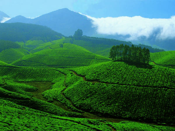 ಇಡುಕ್ಕಿ ಜಿಲ್ಲೆ: