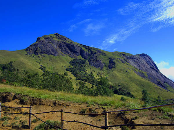 ಇಡುಕ್ಕಿ ಜಿಲ್ಲೆ: