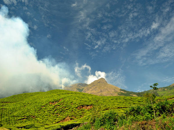 Kolukkumalai tea at highest point Kolukkumalai tea at highest point