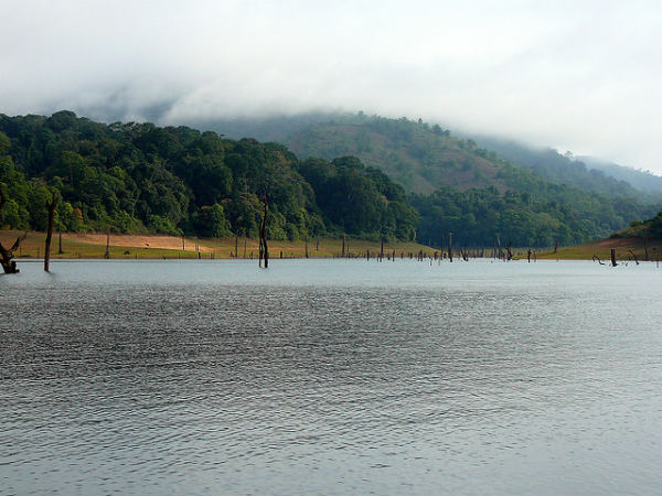 ತೆಕ್ಕಡಿ: