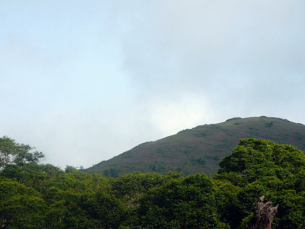 ತೆಕ್ಕಡಿ: