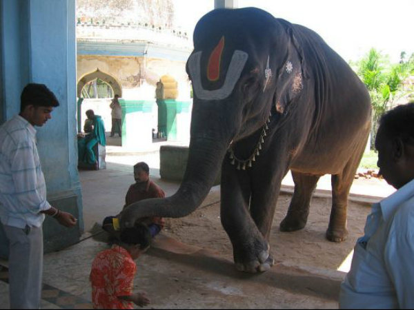 ಕುಂಭಕೋಣಂ ಹಾಗೂ ಸುತ್ತಮುತ್ತಲು: