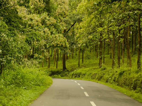 ಜೀವ ಜಂತುಗಳ ವಯನಾಡ್