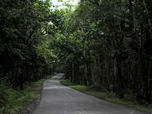 ಕರ್ನಾಟಕದ ಅಭಯಾರಣ್ಯಗಳು: