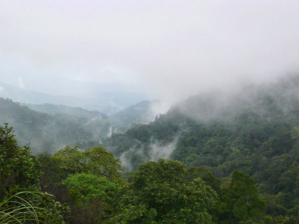ಕರ್ನಾಟಕದ ಅಭಯಾರಣ್ಯಗಳು: