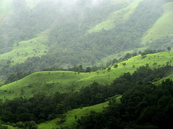 ಕರ್ನಾಟಕದ ಅಭಯಾರಣ್ಯಗಳು:
