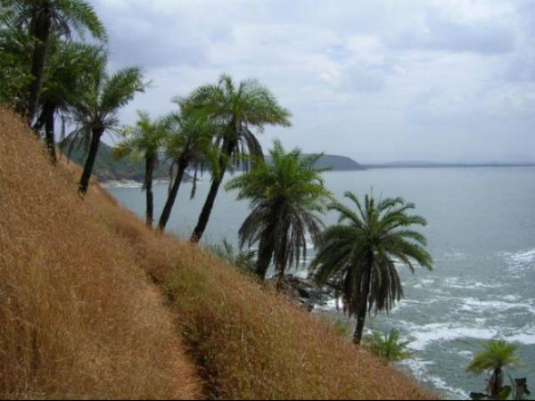 ಶಿರಸಿ ಹಾಗೂ ಸುತ್ತಮುತ್ತಲು: