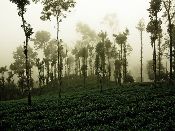 ಚಿತ್ರೀಕರಣಕ್ಕೆಂದೆ ಪ್ರಸಿದ್ಧವಾದ ಸ್ಥಳಗಳು: