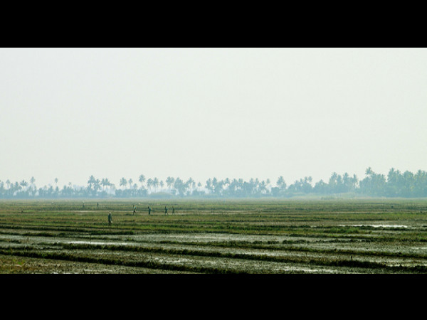 ಭಲೆ ಭಲೆ ಅಲೆಪ್ಪಿ: