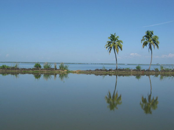 ಭಲೆ ಭಲೆ ಅಲೆಪ್ಪಿ: