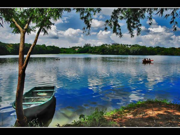 ಮೈಸೂರಿನ ಹಾಗೂ ಸುತ್ತಲಿನ ಆಕರ್ಷಣೆಗಳು: