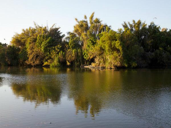 ಮೈಸೂರಿನ ಹಾಗೂ ಸುತ್ತಲಿನ ಆಕರ್ಷಣೆಗಳು: