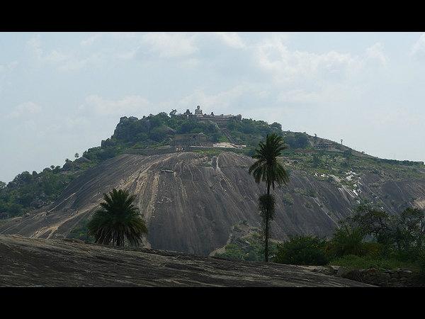 ಮೈಸೂರಿನ ಹಾಗೂ ಸುತ್ತಲಿನ ಆಕರ್ಷಣೆಗಳು: