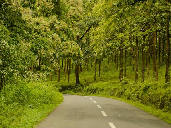 ಮೈಸೂರಿನ ಹಾಗೂ ಸುತ್ತಲಿನ ಆಕರ್ಷಣೆಗಳು: