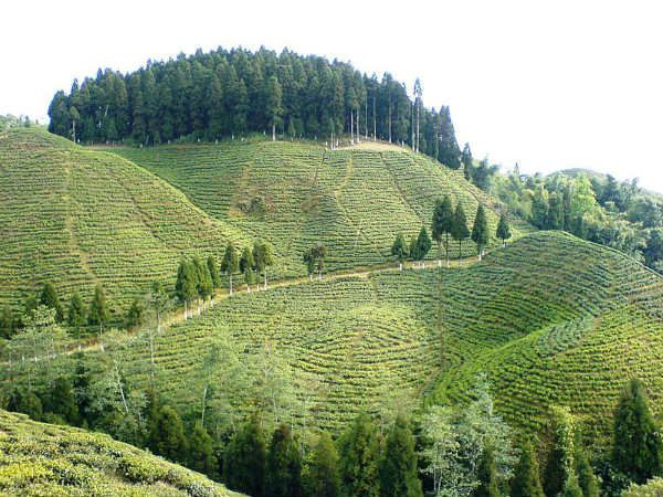 ಉತ್ತರ ಭಾರತದ ಗಿರಿಧಾಮಗಳು: