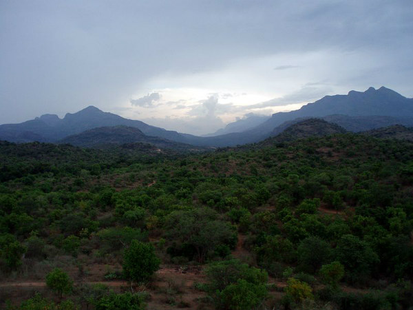 ಚಿನ್ನಾರ್ ವನ್ಯಜೀವಿಧಾಮ: