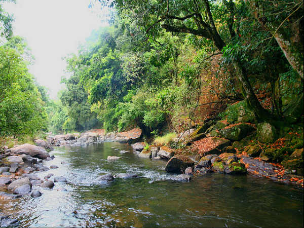 ಚಿನ್ನಾರ್ ವನ್ಯಜೀವಿಧಾಮ: