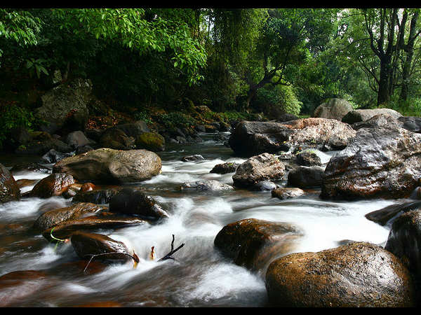 ಚಿನ್ನಾರ್ ವನ್ಯಜೀವಿಧಾಮ: