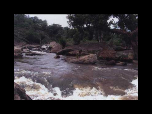 ಚಿನ್ನಾರ್ ವನ್ಯಜೀವಿಧಾಮ: