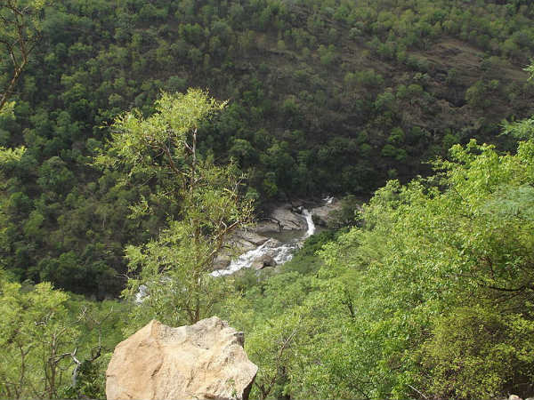ಚಿನ್ನಾರ್ ವನ್ಯಜೀವಿಧಾಮ: