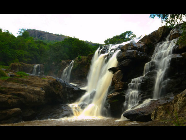 ಚಿನ್ನಾರ್ ವನ್ಯಜೀವಿಧಾಮ: