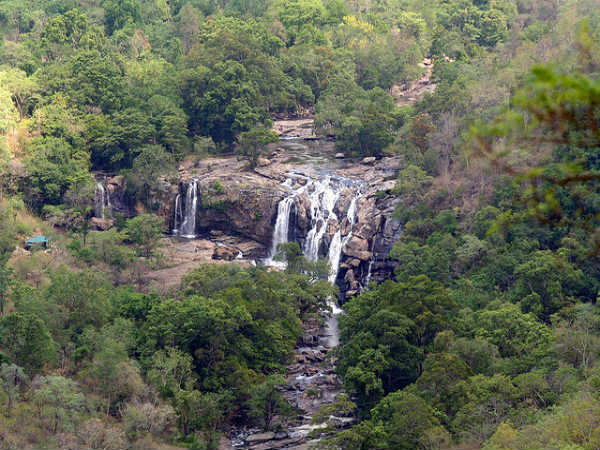 ಚಿನ್ನಾರ್ ವನ್ಯಜೀವಿಧಾಮ: