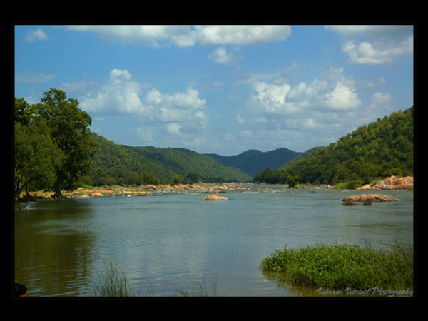 ಬೆಂಗಳೂರಿನಿಂದ ಮೇಕೆದಾಟು: