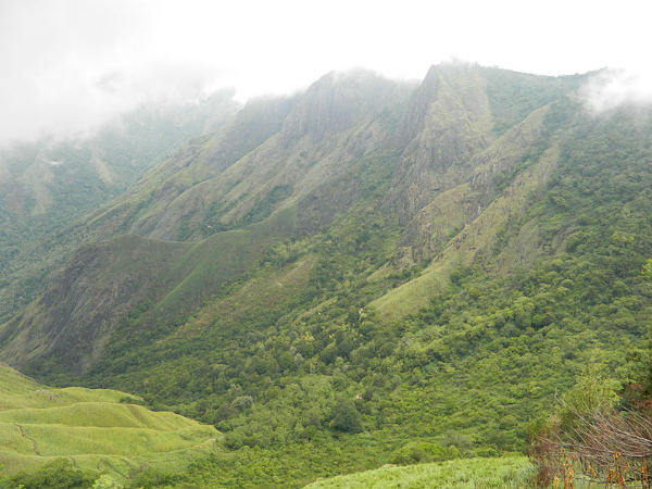 ಎಸ್ಕೇಪ್ ರೋಡ್ ಟ್ರೆಕ್: