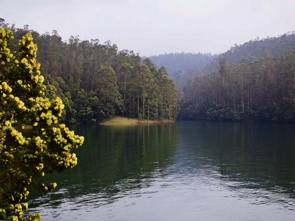 ಊಟಿ ಕೆರೆಗಳ ಗಮ್ಮತ್ತು: