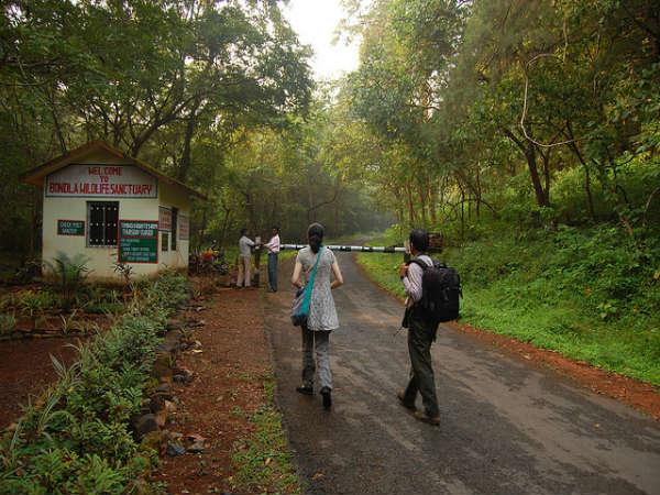 ಮಳೆಗಾಲದಲ್ಲಿ ಭಾರತ ಪ್ರವಾಸ: