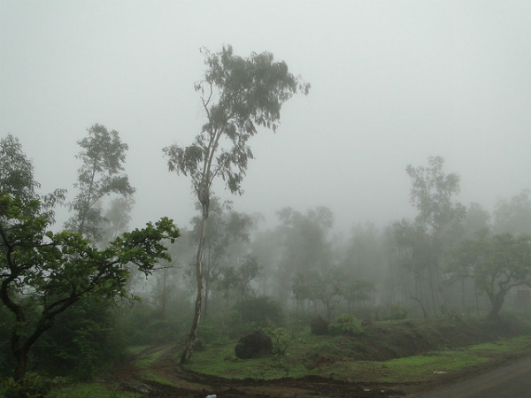 ಮಳೆಗಾಲದಲ್ಲಿ ಭಾರತ ಪ್ರವಾಸ: