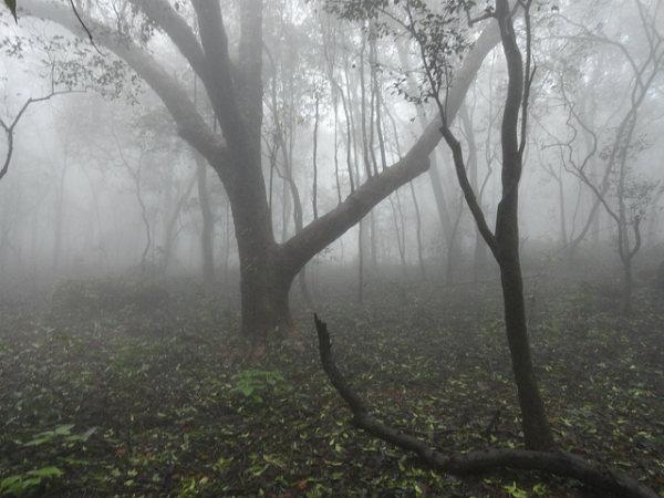 ಮಳೆಗಾಲದಲ್ಲಿ ಭಾರತ ಪ್ರವಾಸ: