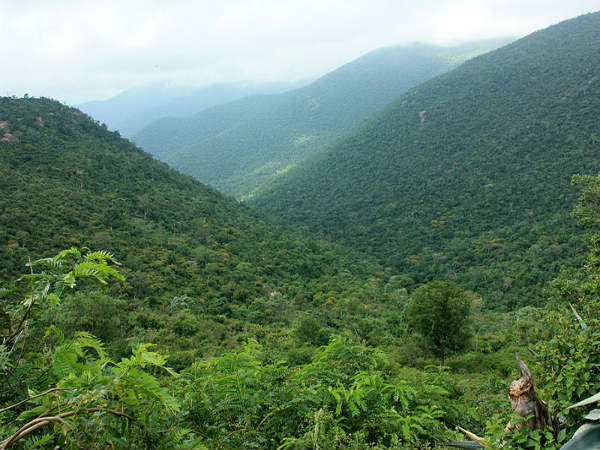 ಮಲೆ ಮಹದೇಶ್ವರ ಬೆಟ್ಟ: